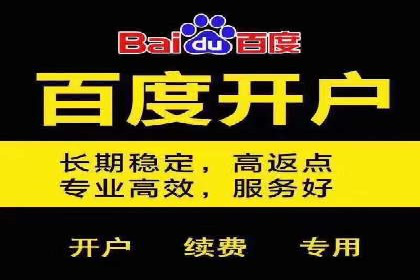 百度包年竞价与SEO的结合策略及案例