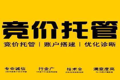 某行业巨头背后的SEM代运营托管公司